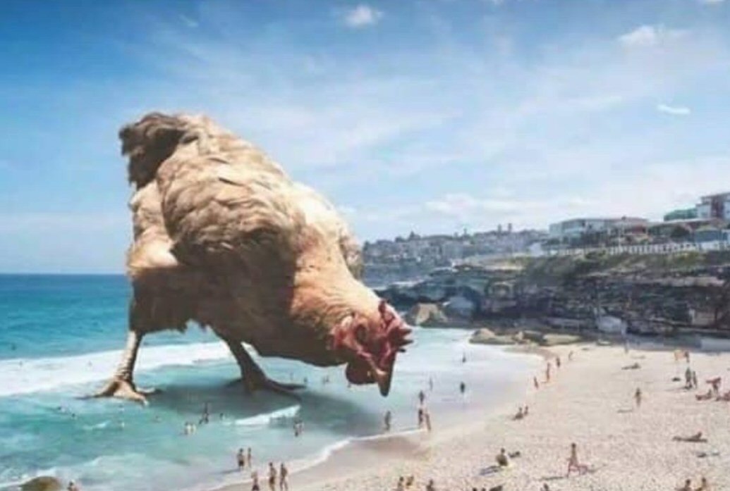 Chicken Beach.jpg